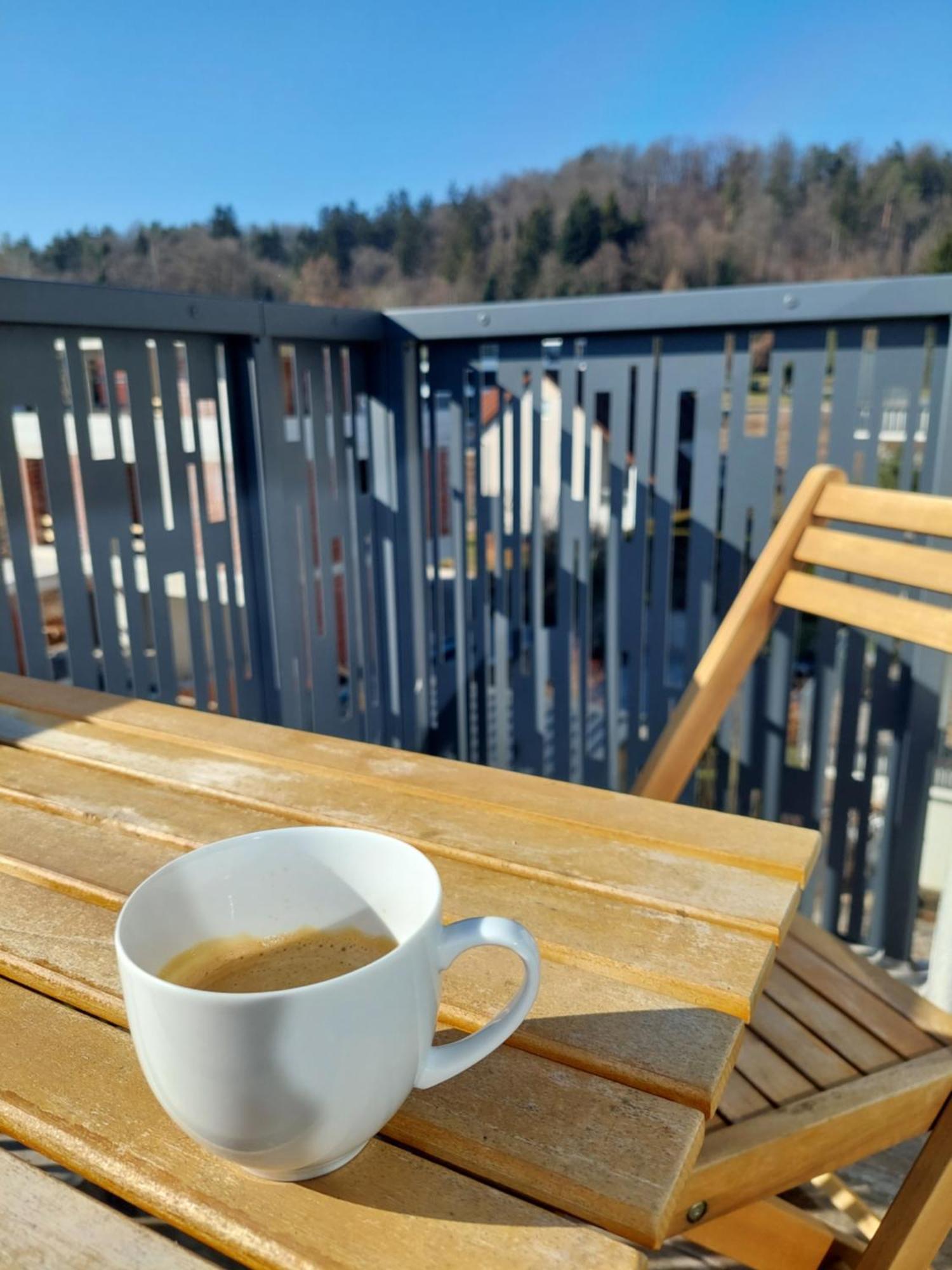 Bed and breakfast Sunny Terraces Rose Valley, Ljubljana Extérieur photo